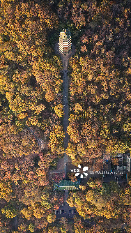 航拍秋天的南京灵谷寺图片素材