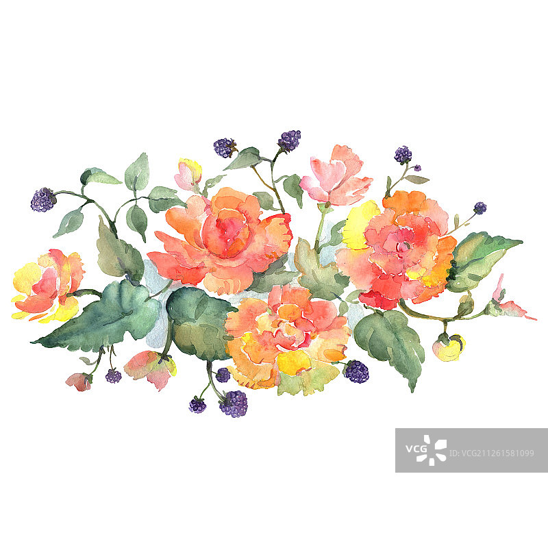 桔黄色玫瑰花束植物花。水彩背景设置。孤立的花束插图元素。图片素材