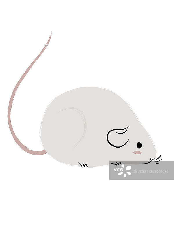 灰色的小老鼠插图手绘图片素材