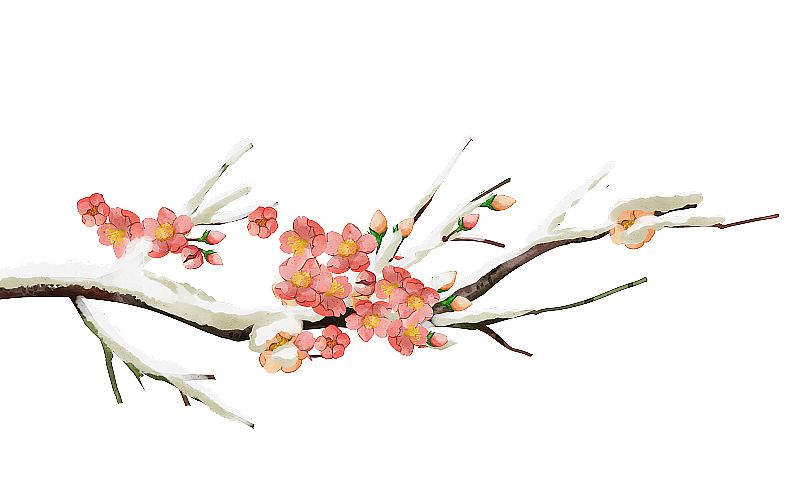 中国风花卉梅花冬天插画植物元素图片素材