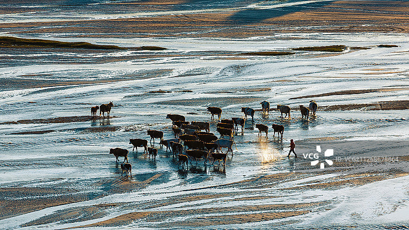 内蒙古赤峰坝上草原秋季风光图片素材