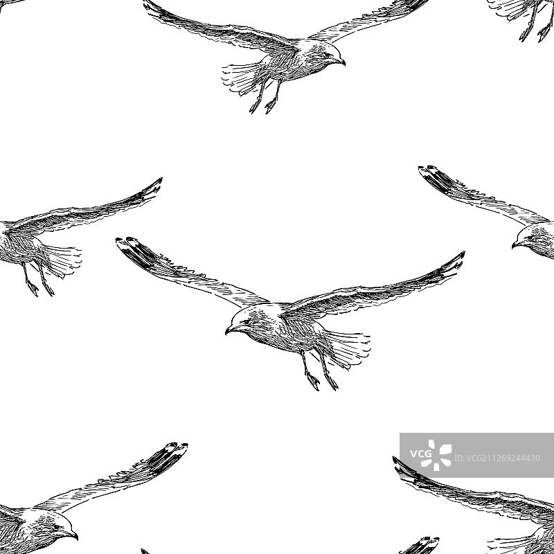 无缝的背景草图飞行的海鸥图片素材