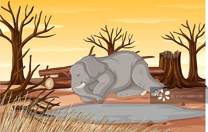 污染控制现场有大象和干旱图片素材