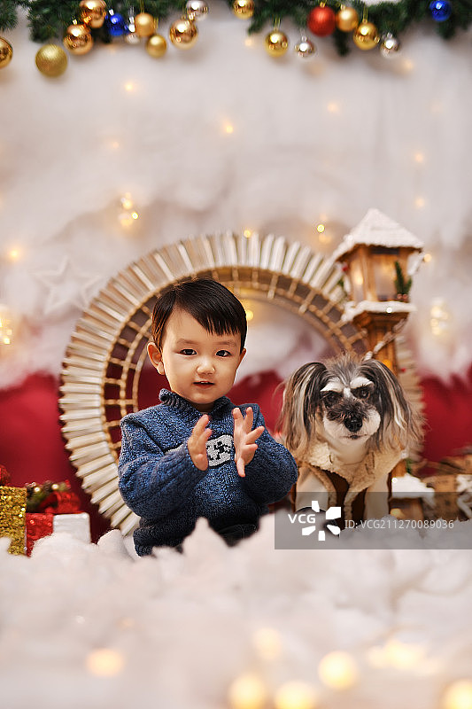 圣诞布景中的小孩和宠物图片素材