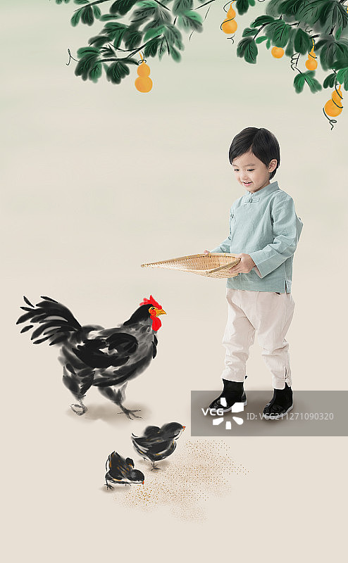 小男孩拿着簸箕撒谷物喂鸡图片素材