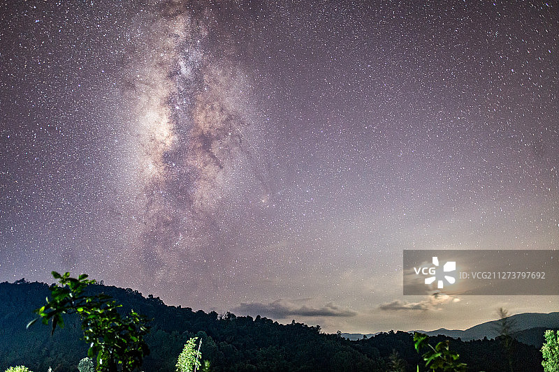 热带雨林的星空图片素材