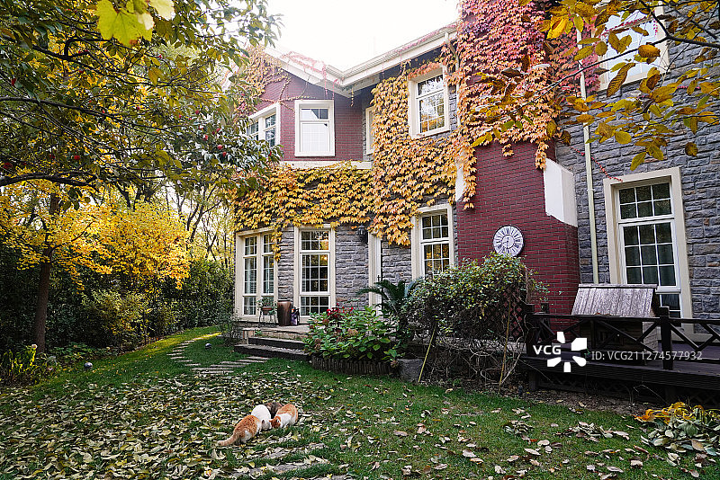 秋天私家别墅的庭院图片素材