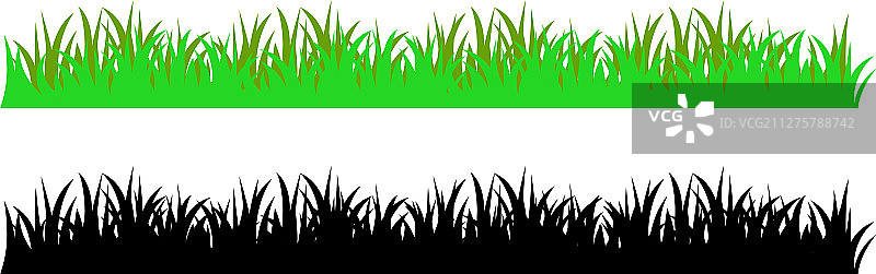 绿色草坪草纹理图片素材