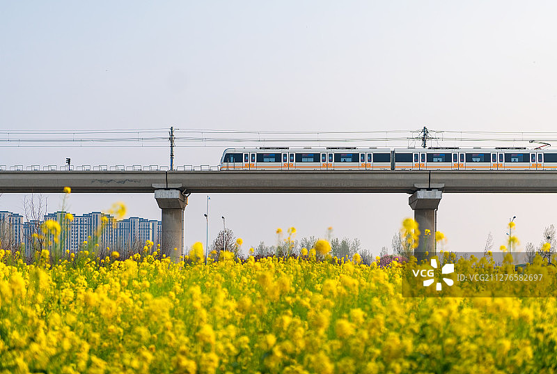 春季地铁列车与油菜花田户外风光图片素材