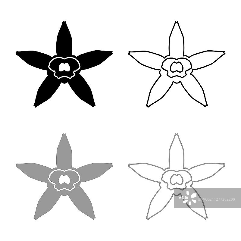 香草花图标轮廓设置黑色灰色矢量插图平面风格简单的图像图片素材