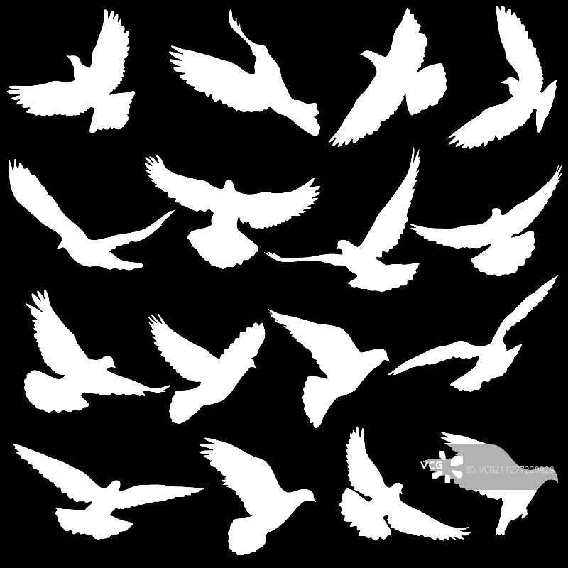 爱或和平的概念。设置轮廓鸽子。图片素材