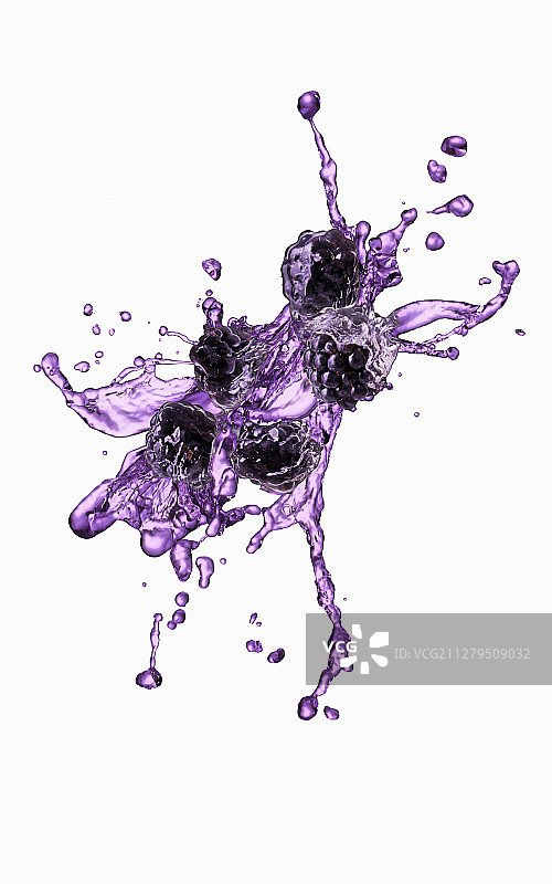 紫黑莓飞溅图片素材