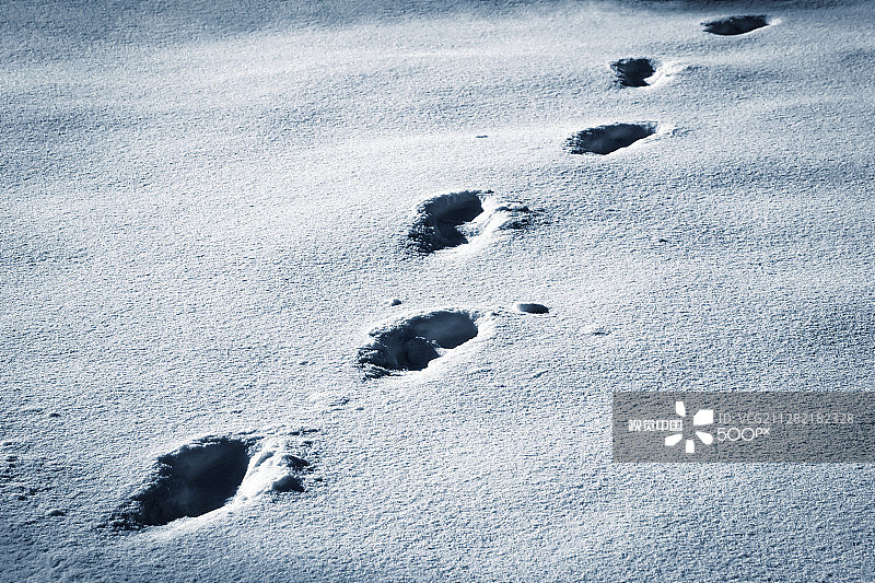 雪地上的黑色脚印图片素材