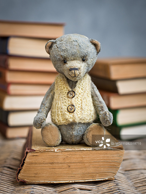 泰迪熊在图书馆看书图片素材
