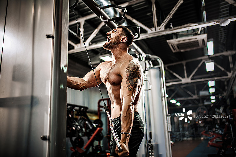 英俊的肌肉健身健美者做重物运动三头肌图片素材