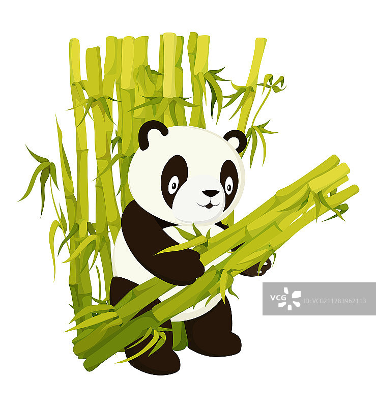可爱的熊猫熊收集竹子的茎平图片素材