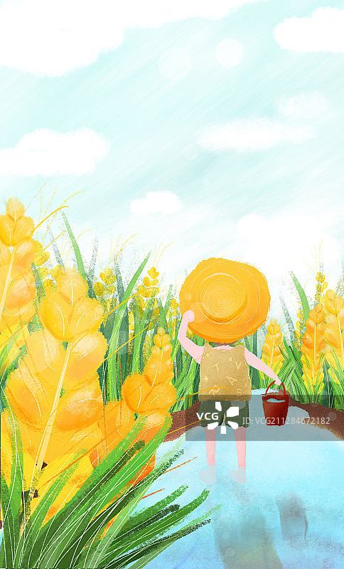 小男孩站在水里麦田夏日主题插画图片素材
