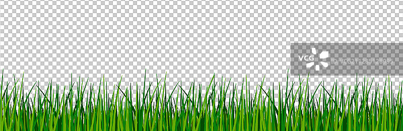绿草的边界图片素材