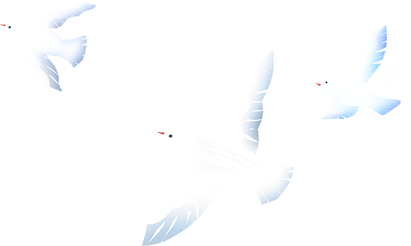 飞行的白色鸟类元素插画图片素材