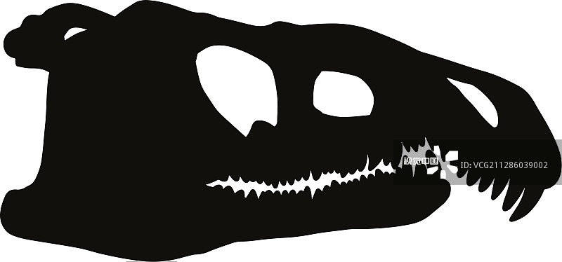 rossicus古龙头骨的化石轮廓图片素材