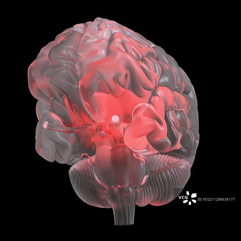 红色发光玻璃大脑的图解图片素材