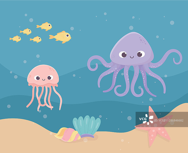 海星章鱼水母鱼沙泡泡生命图片素材