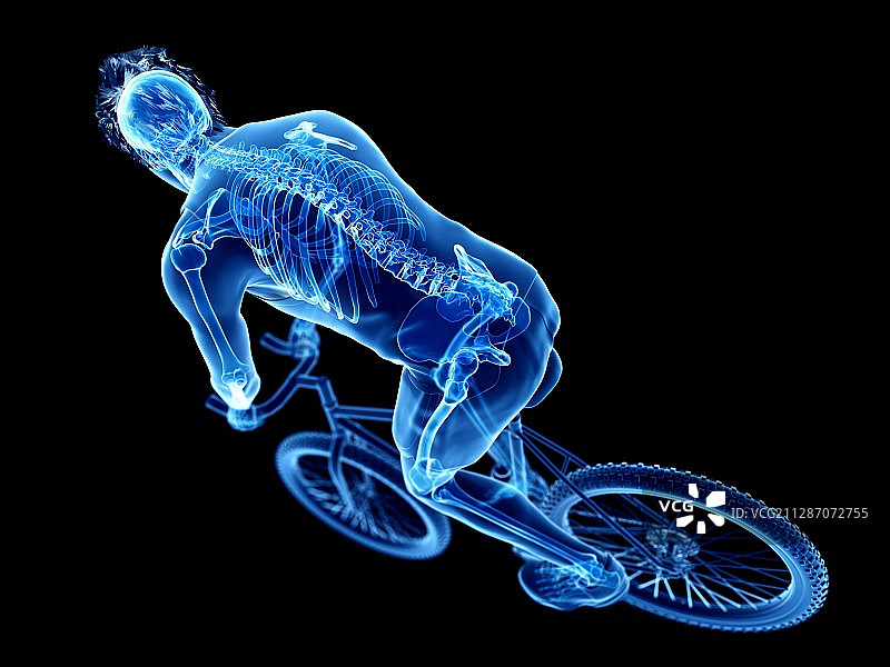 一个骑自行车的人的骨架插图图片素材