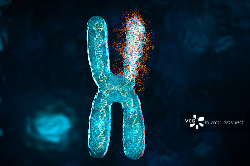 深色背景下的染色体 3D渲染图片素材