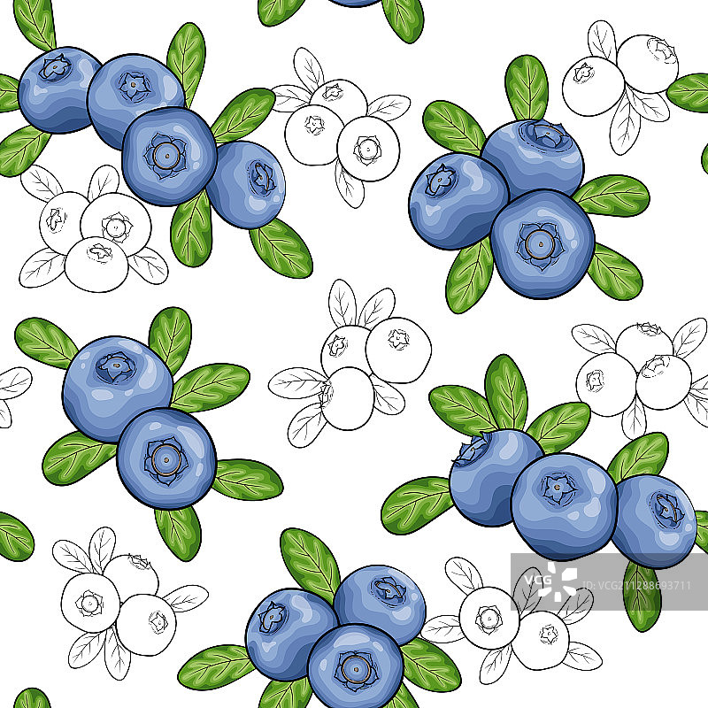 无缝模式莓蓝莓与叶图片素材