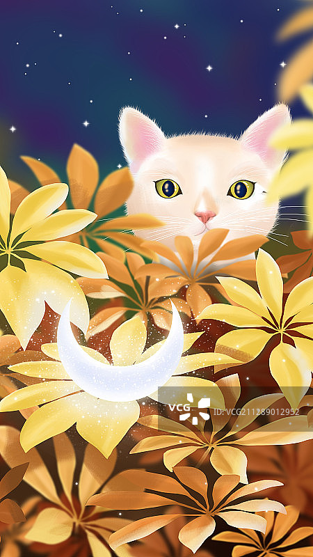 小猫在黄色丛林中发现发光的月亮图片素材