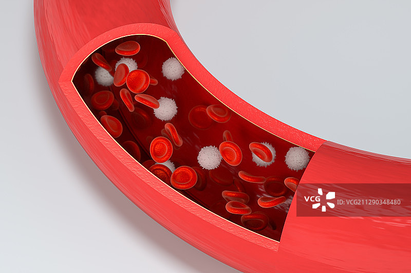 血管内的红细胞与白细胞 3D渲染图片素材