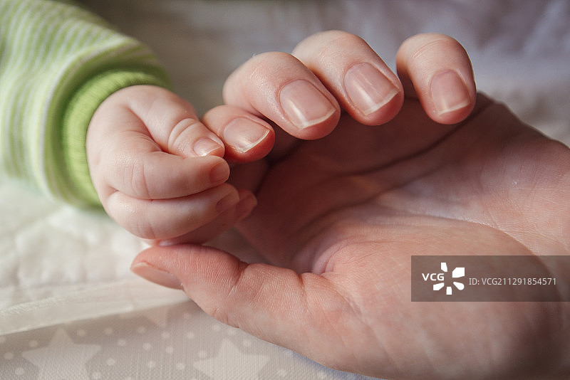 塞尔维亚诺维萨德，母亲抚摸着婴儿的手图片素材