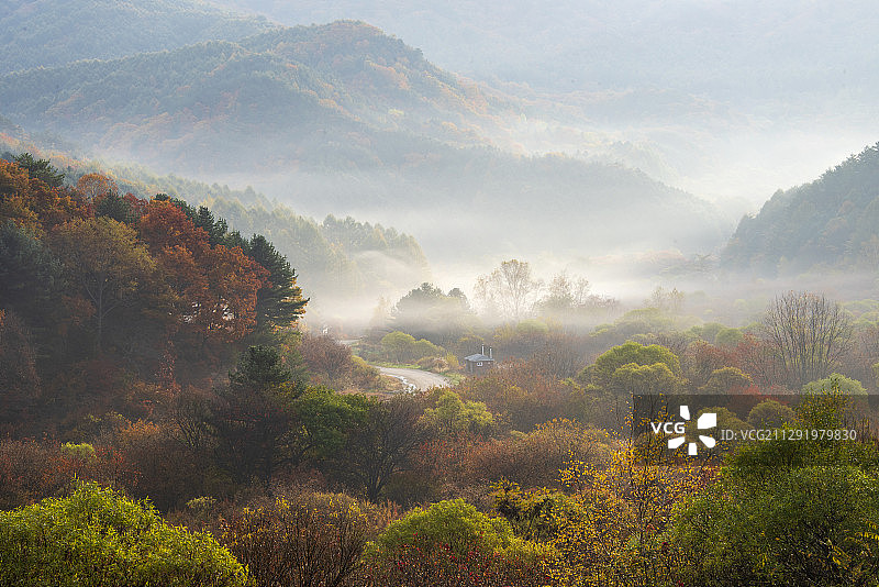 韩国阳谷秋日雾气蒙蒙的森林中的独栋房屋图片素材