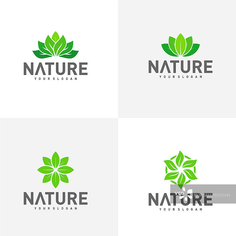 设置叶标志设计模板自然标志图片素材