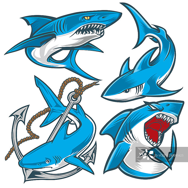 鲨鱼设置愤怒的蓝色吉祥物图片素材