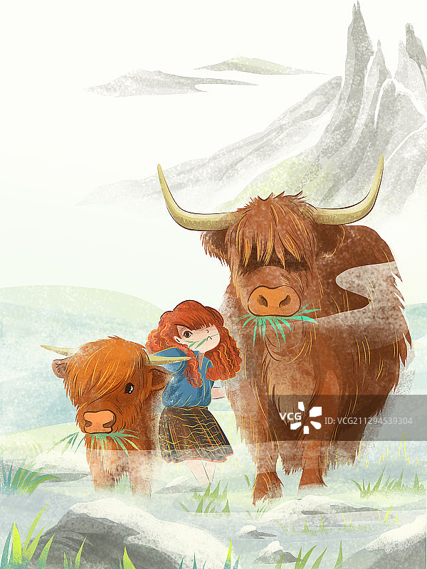 牛年系列-苏格兰高地牛图片素材