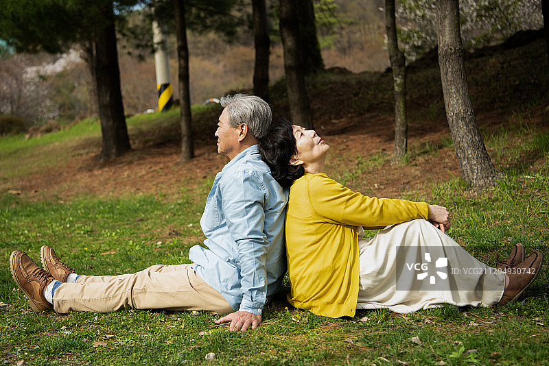 老夫妇背靠背坐在公园的草坪上图片素材
