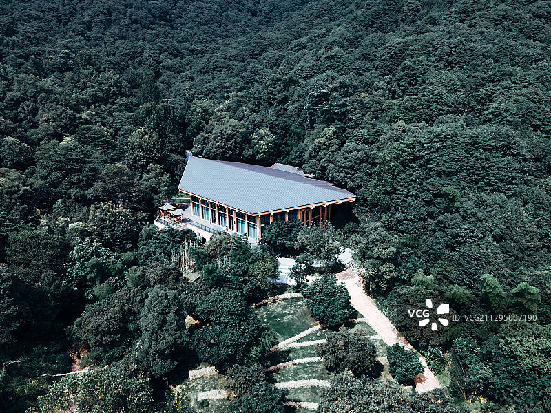杭州森泊酒店的林中小屋图片素材