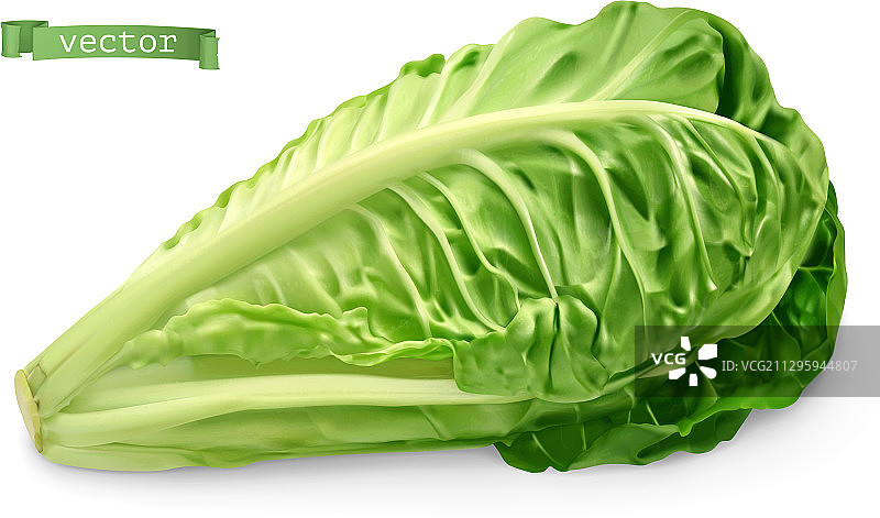 长叶莴苣是3d现实食物对象图片素材