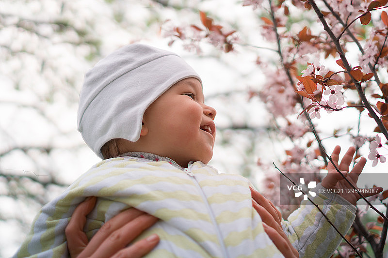 塞尔维亚诺维萨德，妈妈抱着一个快乐的小孩，站在一棵盛开的树上图片素材