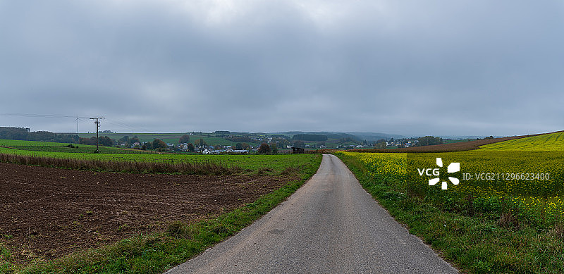 比利时Neufchateau，道路与田野的观点图片素材