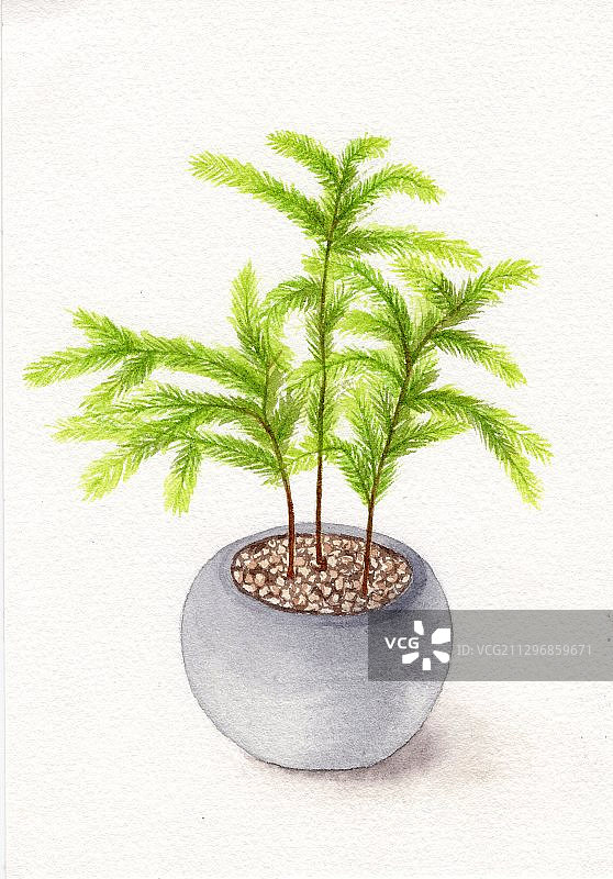 手绘水彩盆栽可爱绿植元素插画素材图片素材