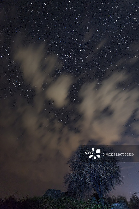 低角度的树木对天空的夜晚，马尔帕达德ceres，西班牙图片素材