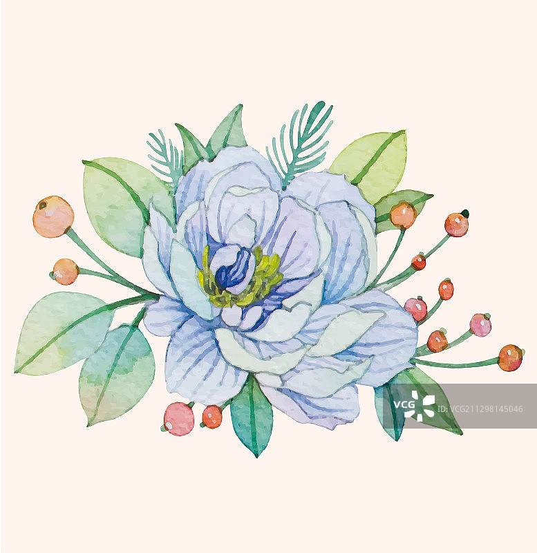 玫瑰牡丹百合虞美人水彩插画图片素材