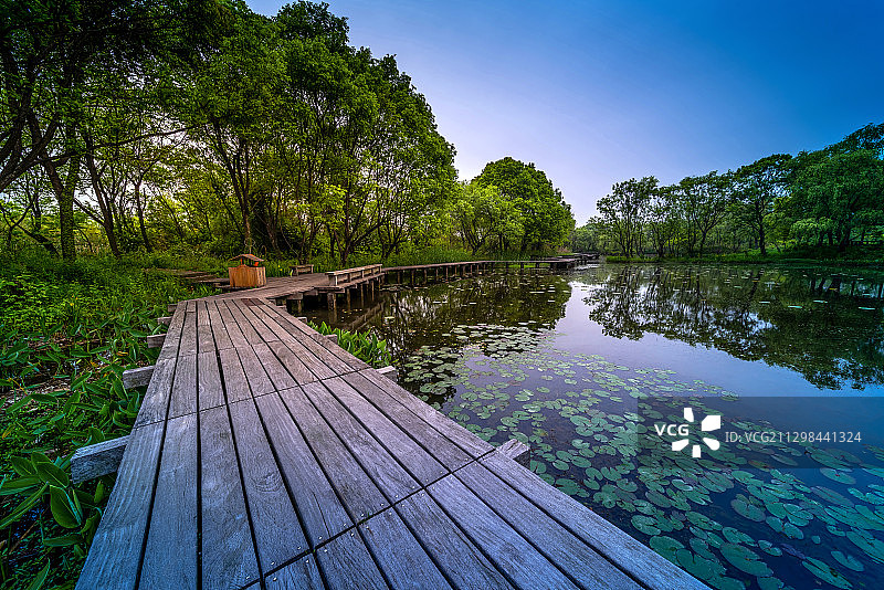 杭州西溪湿地公园木桥图片素材
