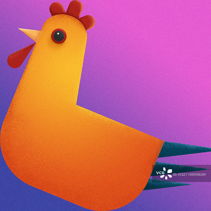 鸡十二生肖动物插画图片素材