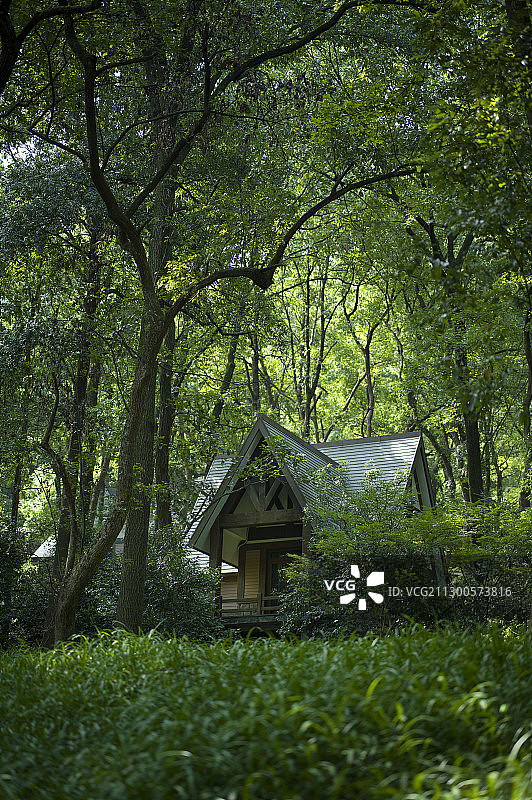 森林绿荫里的小木屋图片素材
