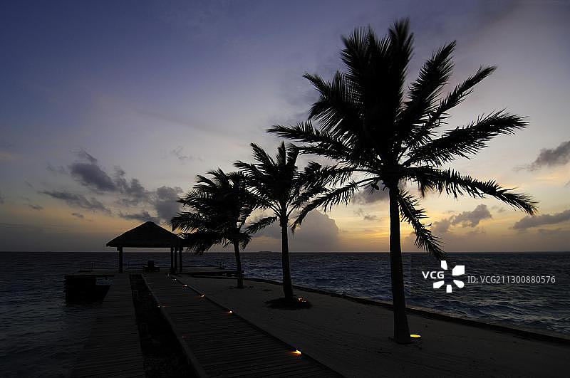 码头与棕榈树在黄昏，背光，拉古纳度假村，马尔代夫，印度洋图片素材
