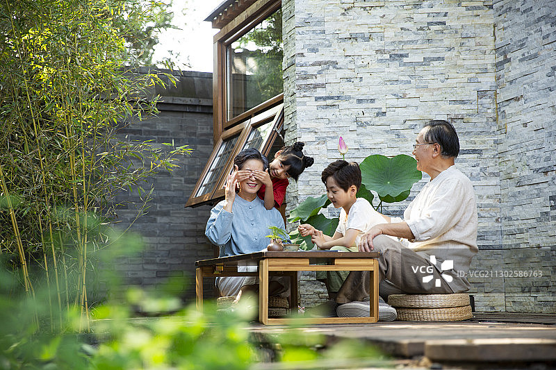 孙女、孙子和爷爷、奶奶一家人在庭院研究茶道嬉戏图片素材