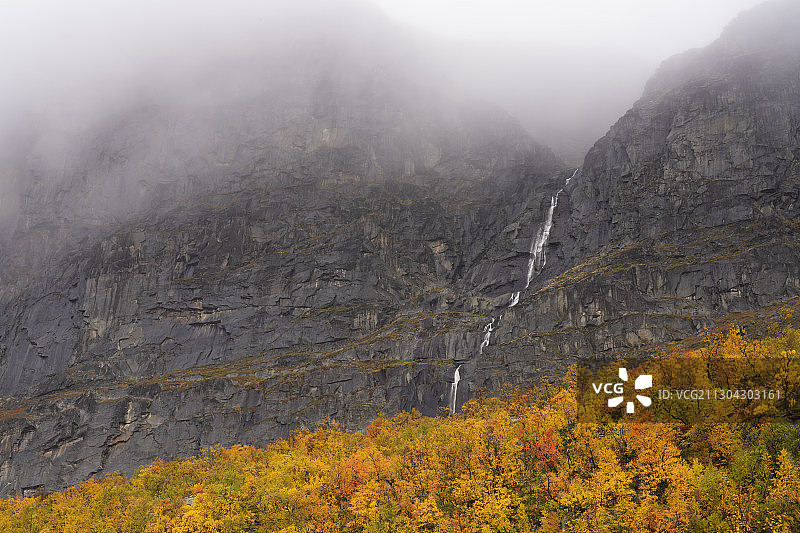 山脉景观和秋色的白桦树，拉普尼亚国家公园，联合国教科文组织世界遗产，Norrbotten，瑞典拉普兰图片素材